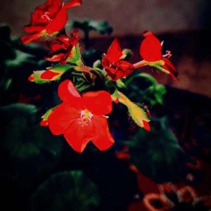 دانلود آهنگ مال منی در آخر آخه دلت با من هماهنگه